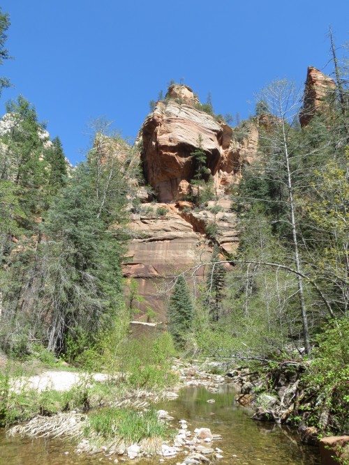 More Oak Creek Canyon